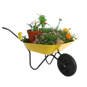 Added to Wishlist