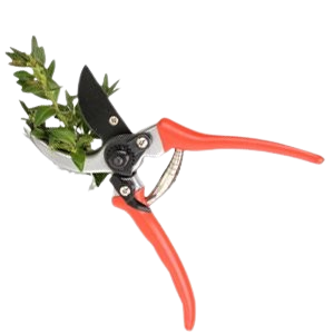 Added to Wishlist
