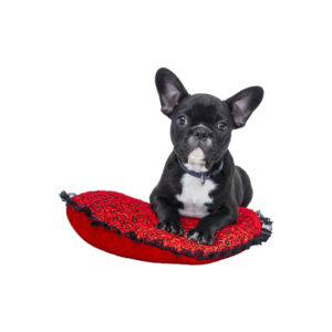 Baked Chicken Biscuits