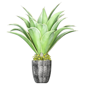 Added to Wishlist